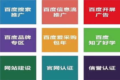 行业首例：SEM竞价优化案例的成效与启示